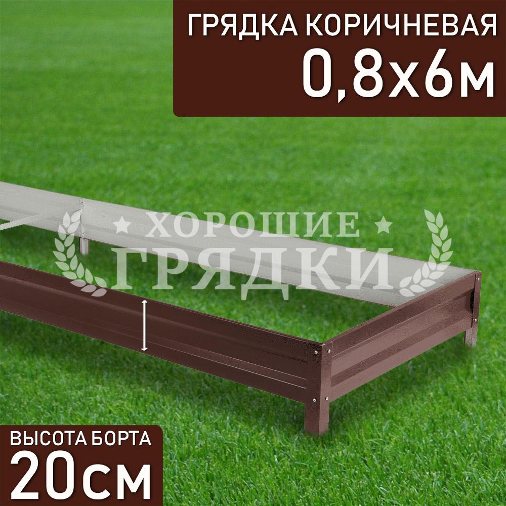 Коричневая-20-08-6